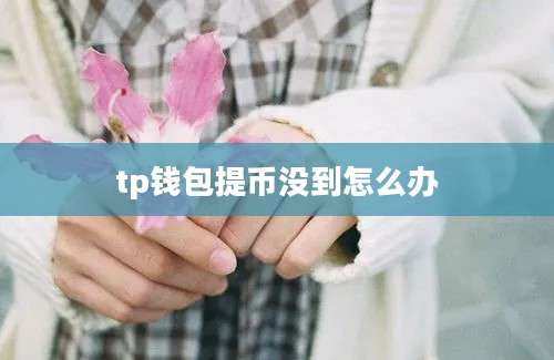 tp钱包提币没到怎么办