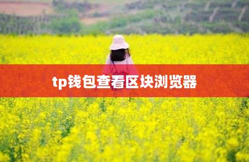 tp钱包查看区块浏览器