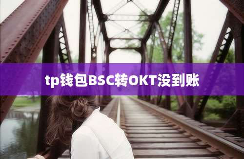 tp钱包BSC转OKT没到账