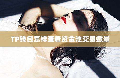 TP钱包怎样查看资金池交易数量