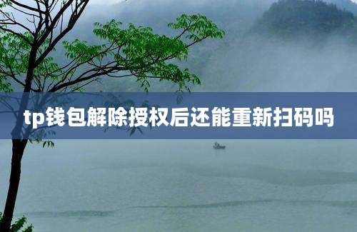 tp钱包解除授权后还能重新扫码吗