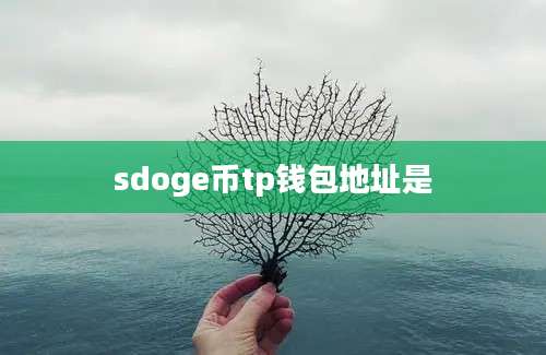sdoge币tp钱包地址是