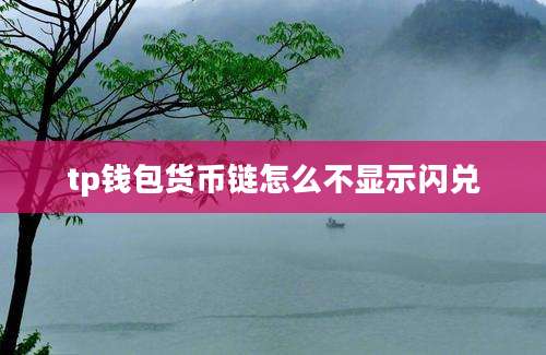tp钱包货币链怎么不显示闪兑