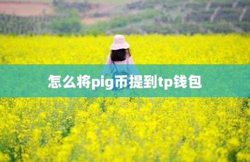 怎么将pig币提到tp钱包