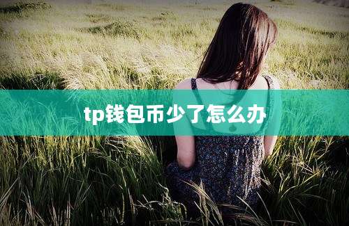 tp钱包币少了怎么办