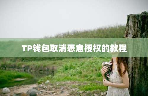 TP钱包取消恶意授权的教程