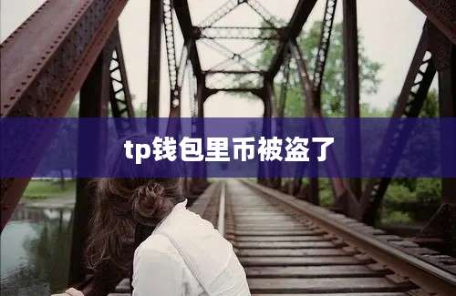 tp钱包里币被盗了