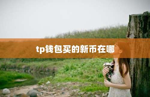 tp钱包买的新币在哪