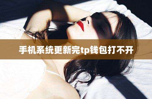 手机系统更新完tp钱包打不开