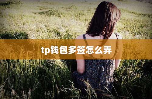 tp钱包多签怎么弄