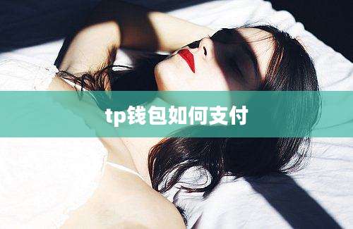tp钱包如何支付