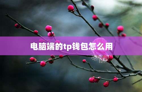 电脑端的tp钱包怎么用