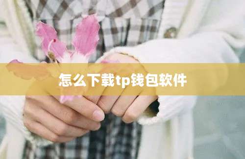 怎么下载tp钱包软件