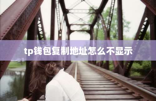 tp钱包复制地址怎么不显示