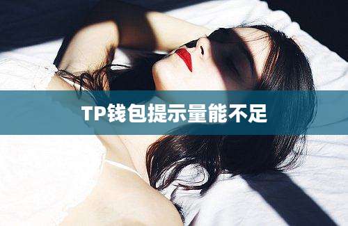 TP钱包提示量能不足