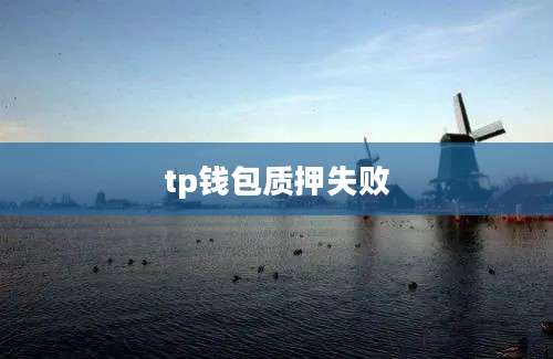 tp钱包质押失败