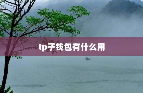 tp子钱包有什么用