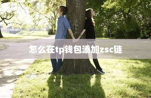 怎么在tp钱包添加zsc链