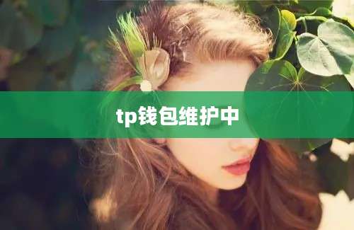 tp钱包维护中