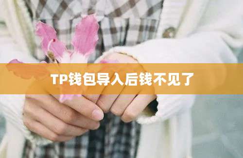 TP钱包导入后钱不见了