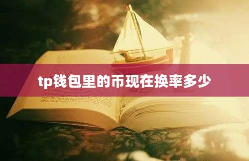 tp钱包里的币现在换率多少