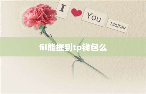 fil能提到tp钱包么