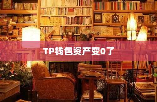 TP钱包资产变0了