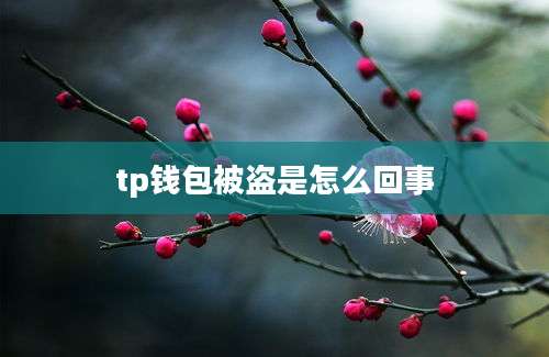 tp钱包被盗是怎么回事