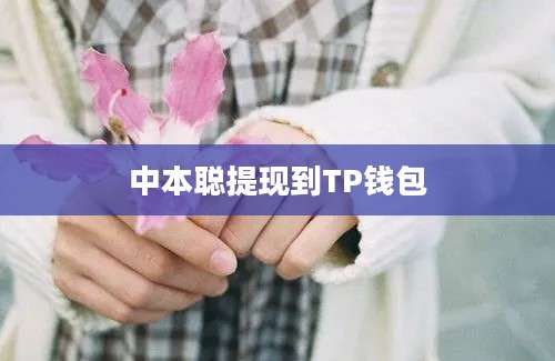 中本聪提现到TP钱包