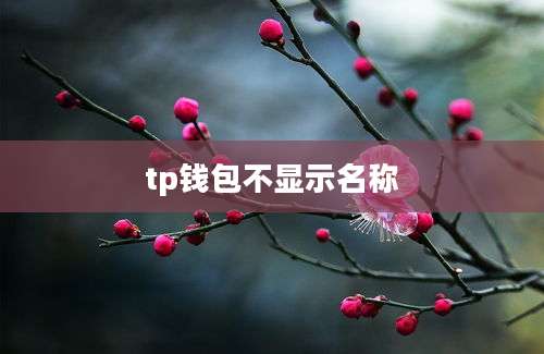 tp钱包不显示名称