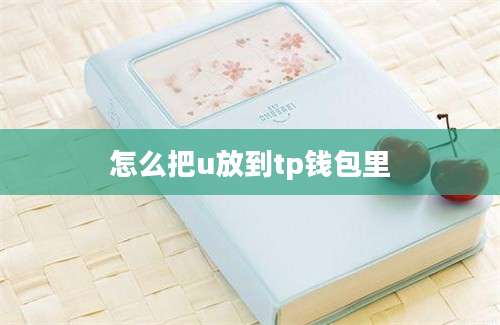 怎么把u放到tp钱包里