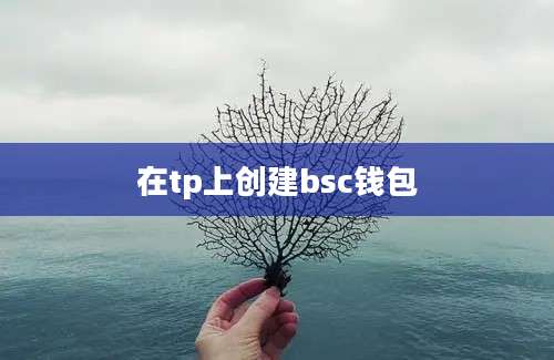 在tp上创建bsc钱包