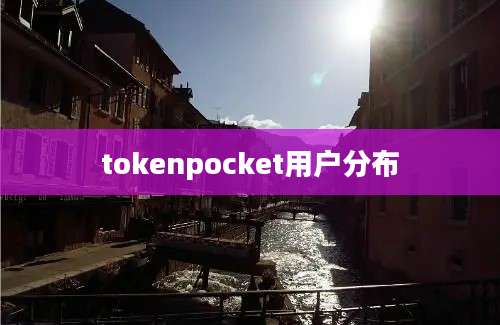 tokenpocket用户分布