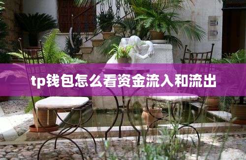 tp钱包怎么看资金流入和流出