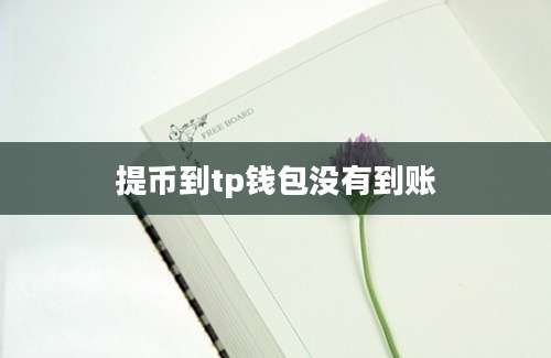 提币到tp钱包没有到账