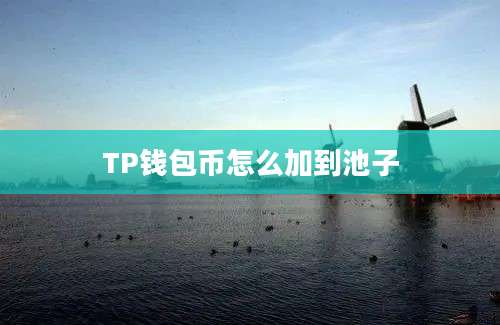 TP钱包币怎么加到池子