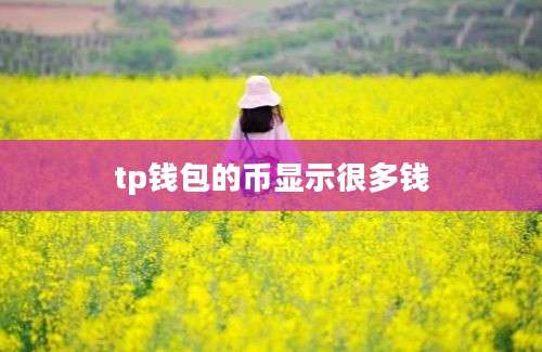 tp钱包的币显示很多钱