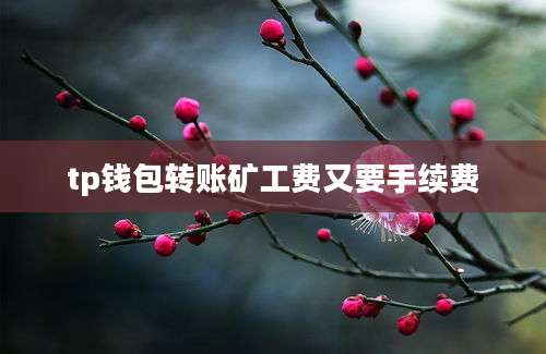 tp钱包转账矿工费又要手续费