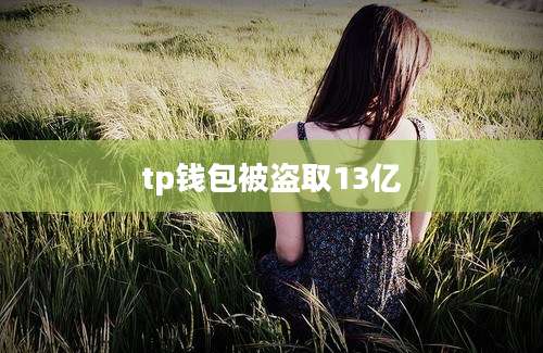 tp钱包被盗取13亿