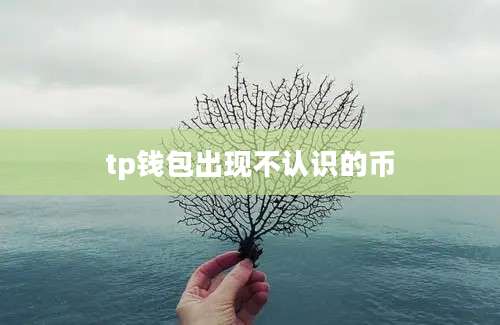 tp钱包出现不认识的币