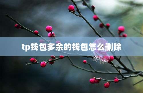 tp钱包多余的钱包怎么删除