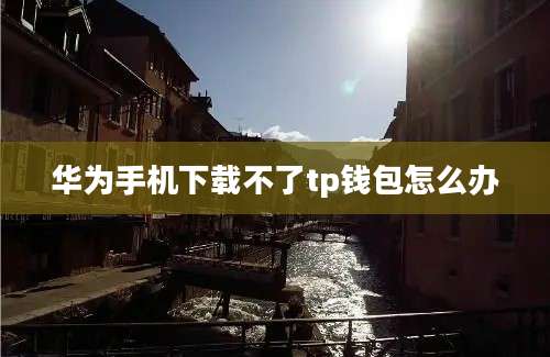 华为手机下载不了tp钱包怎么办