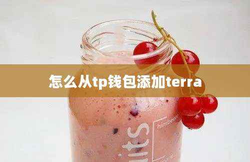 怎么从tp钱包添加terra