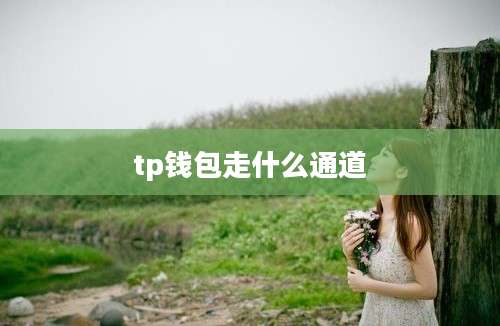 tp钱包走什么通道
