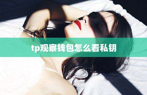 tp观察钱包怎么看私钥