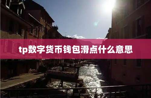 tp数字货币钱包滑点什么意思
