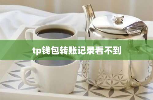tp钱包转账记录看不到
