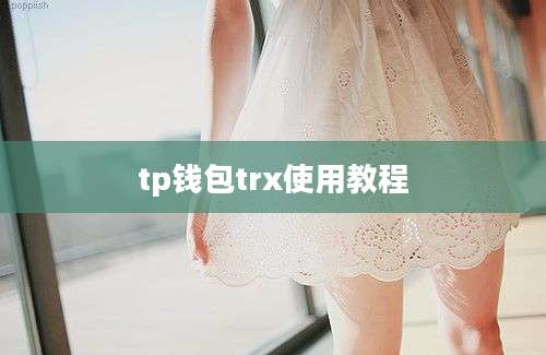 tp钱包trx使用教程