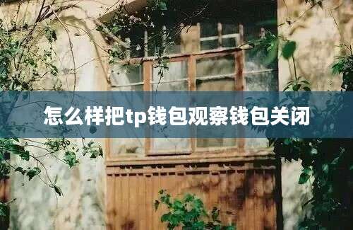 怎么样把tp钱包观察钱包关闭