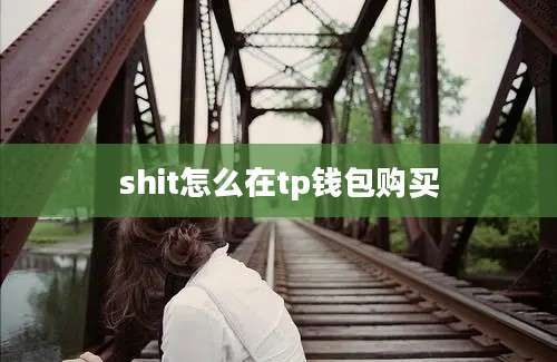 shit怎么在tp钱包购买